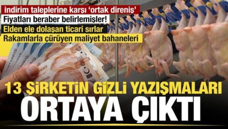 Beyaz et karteline operasyon: Kayyum atanan 13 şirketin saklı yazışmaları raporlarda!